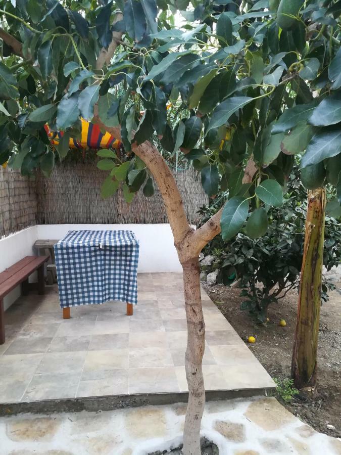 Casa La Terraza Villa Vallehermoso Dış mekan fotoğraf