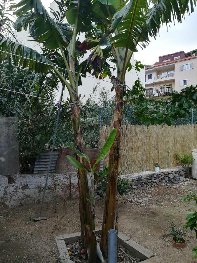 Casa La Terraza Villa Vallehermoso Dış mekan fotoğraf